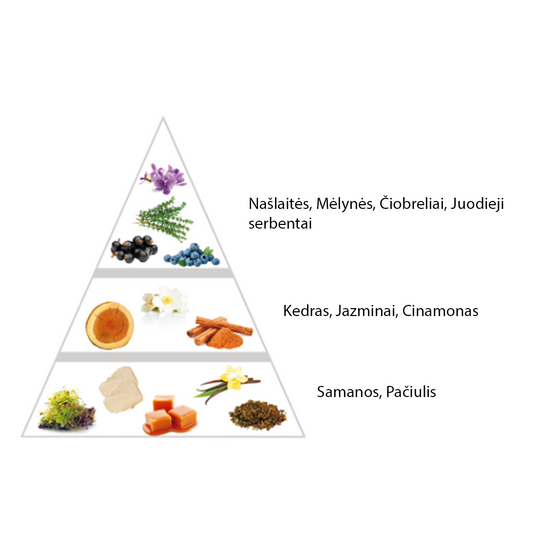 Nišiniai "Carmen" kvepalai įkvėpti "Carmina by Creed" aromato