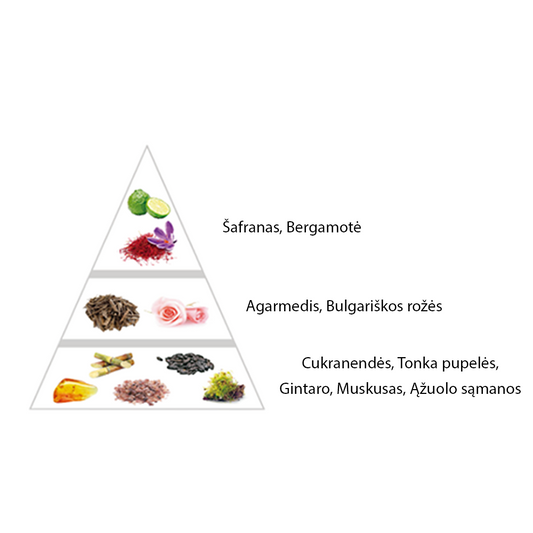 Nišiniai "Emirates" kvepalai įkvėpti "Arabians Tonnka by Montale" aromato
