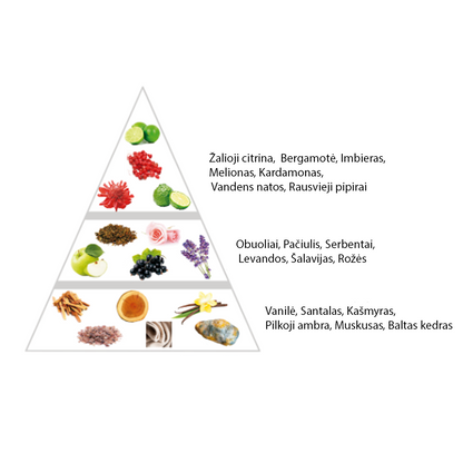 Nišiniai "Anisette" kvepalai įkvėpti "Ani X by Nichane" aromato