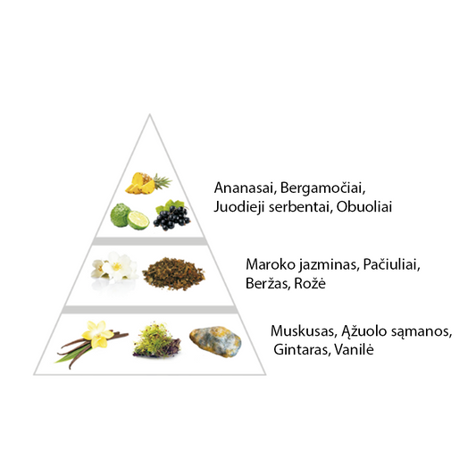 Vyriški "AVENTURA" kvepalai įkvėpti "Aventus by Creed" aromato