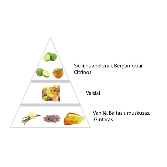 Nišiniai "Meadow" kvepalai įkvėpti "Erba Pura by Xerjoff" aromato