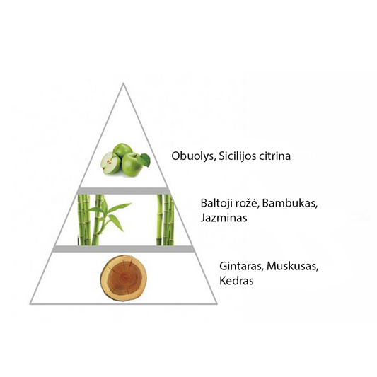 Moteriški "Night Bleu" kvepalai įkvėpti "Light Bleu - D&G" aromato