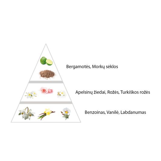 Nišiniai "Snow Light" kvepalai įkvėpti "Soleil Neige by Tom Ford" aromato