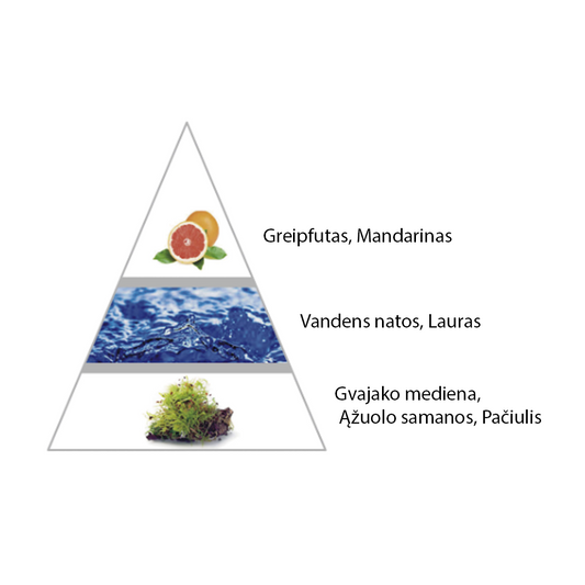 Vyriški "Trofeo" kvepalai įkvėpti "Invictus" aromato